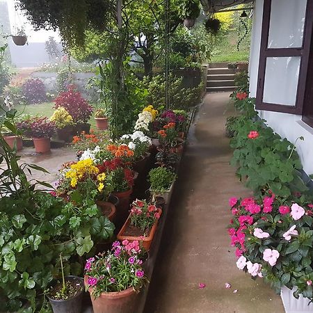 Rheinberg Town Haus Hotel Munnar Luaran gambar
