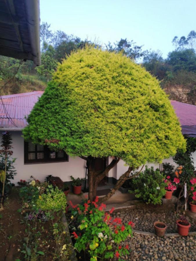 Rheinberg Town Haus Hotel Munnar Luaran gambar