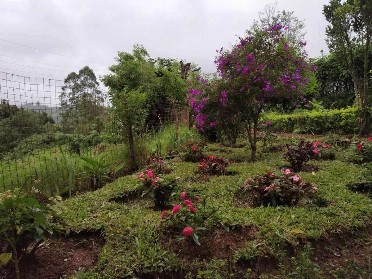 Rheinberg Town Haus Hotel Munnar Luaran gambar
